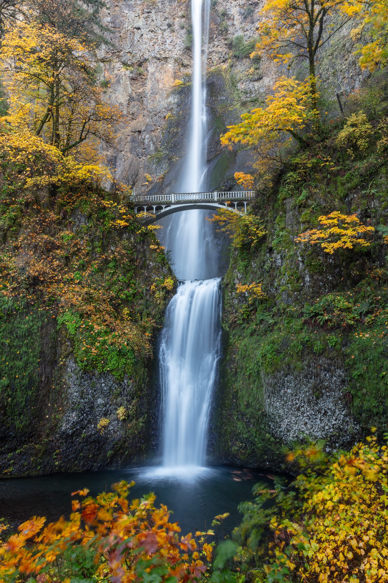 2nd PrizeAssigned Pictorial In Class 3 By Bill Crnkovich For Autumn At Multnomah Falls DEC-2024.jpg